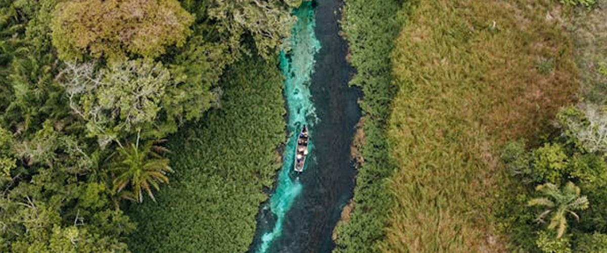 O que Conhecer em Bonito MS - Guia Completo para Exploradores de Ecoturismo