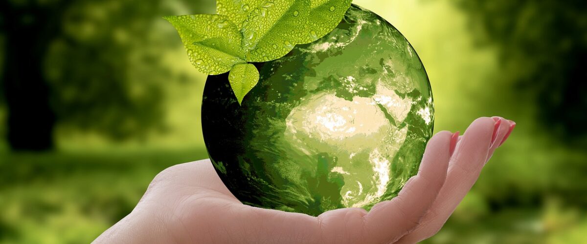10 Ações sustentáveis para pequenas empresas 1 10 Ações sustentáveis para pequenas empresas