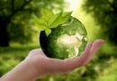 10 Ações sustentáveis para pequenas empresas 3 anncapictures nature 3289812 1280