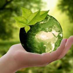 10 Ações sustentáveis para pequenas empresas 8 10 Ações sustentáveis para pequenas empresas